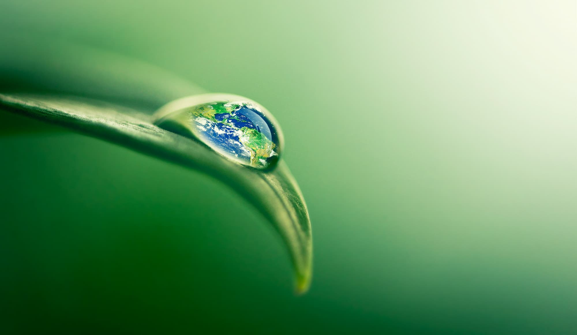 a drop of water on e leaf reflecting eart